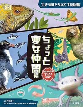 アダチサチコ絵本シリーズビデオ コンシャスネス意識 Syouwawaisetukannnodoramaboruichionosachiko
